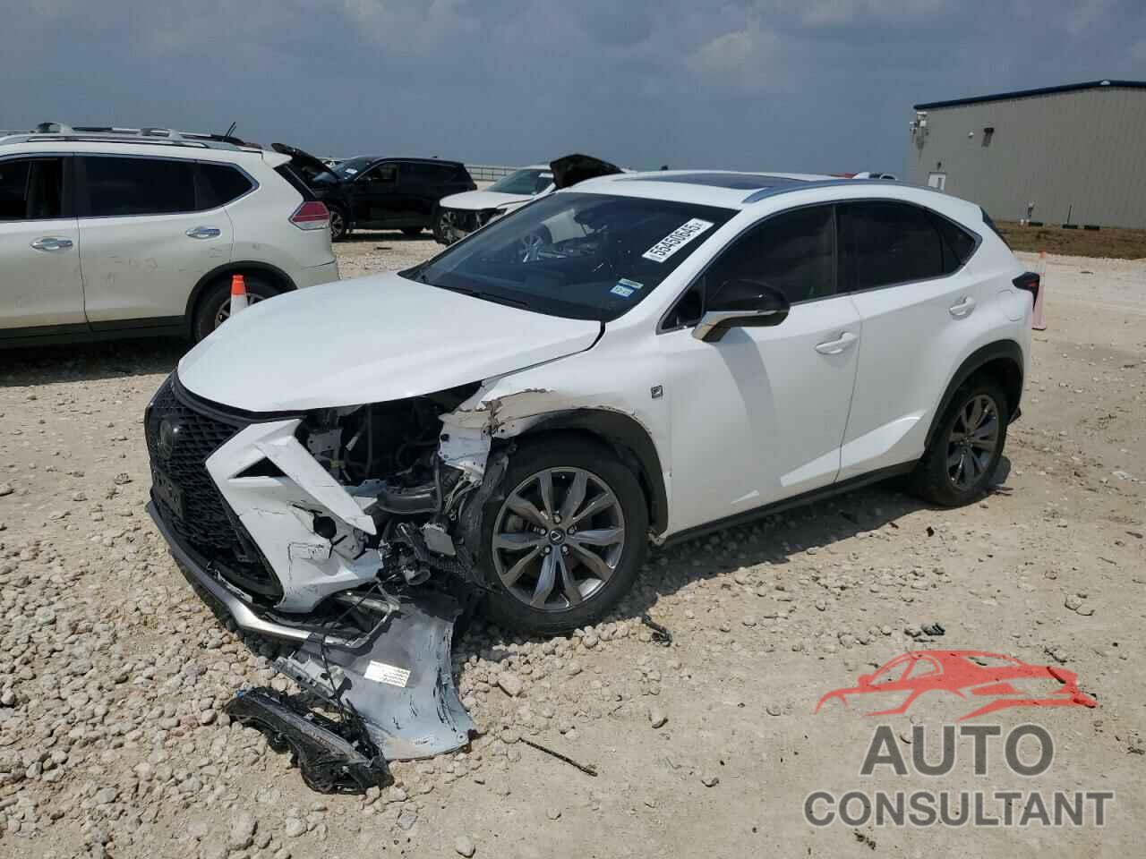 LEXUS NX 2019 - JTJYARBZ0K2133801