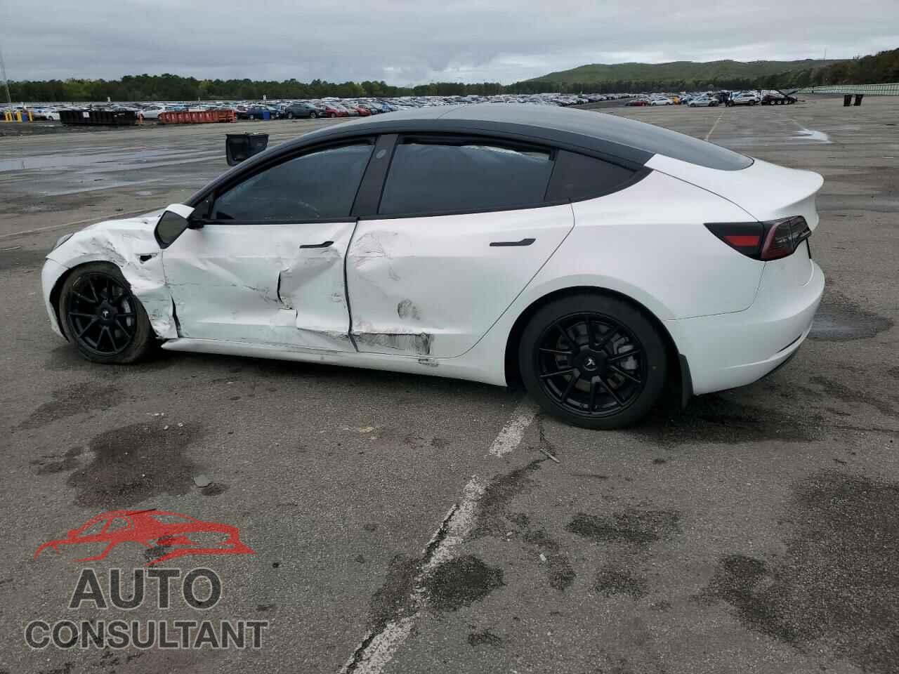 TESLA MODEL 3 2021 - 5YJ3E1EA0MF029723