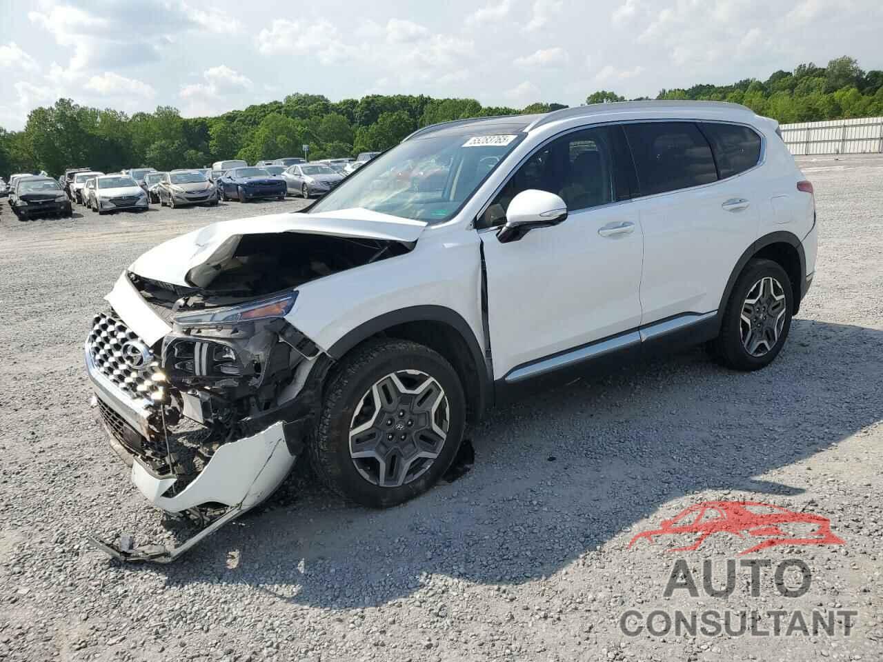 HYUNDAI SANTA FE 2021 - 5NMS4DAL9MH339889