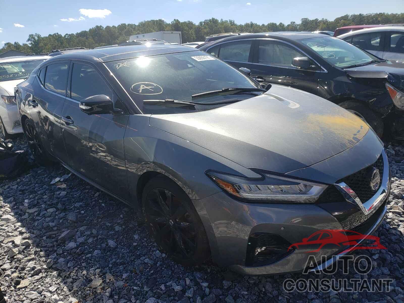 NISSAN MAXIMA 2019 - 1N4AA6AV5KC375534