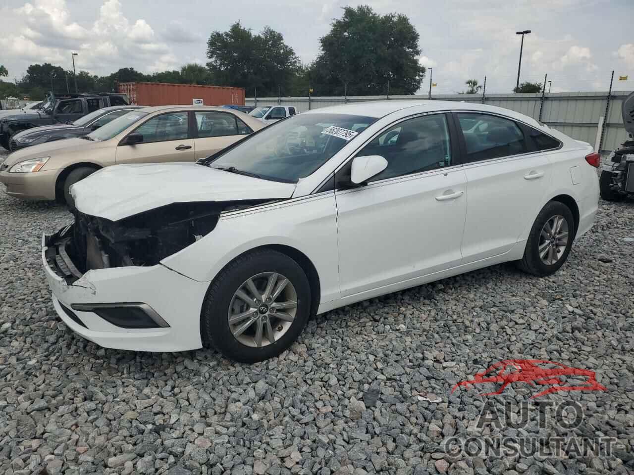 HYUNDAI SONATA 2017 - 5NPE24AFXHH487071