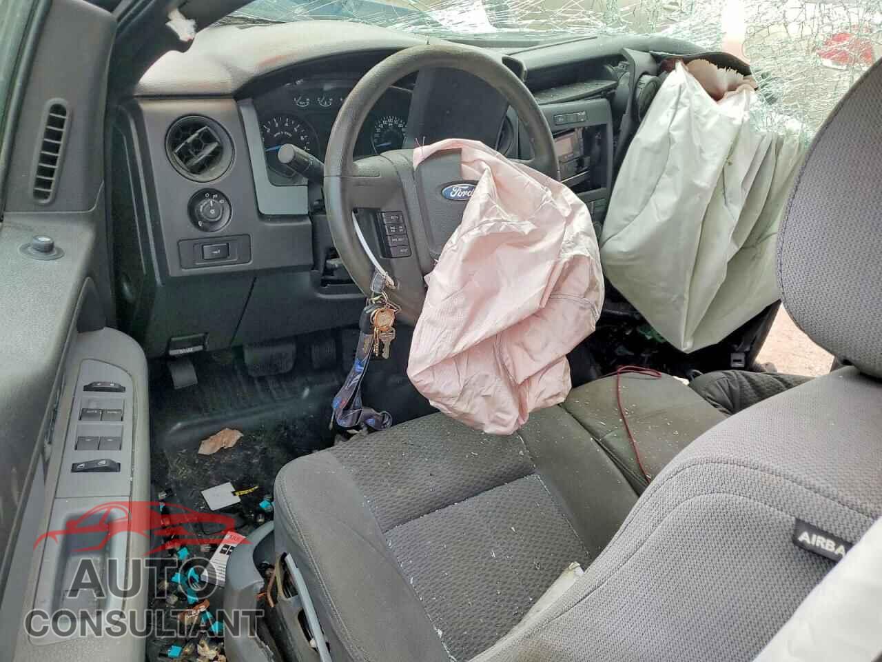 FORD F150 2013 - 1FTFX1CF3DFE03629
