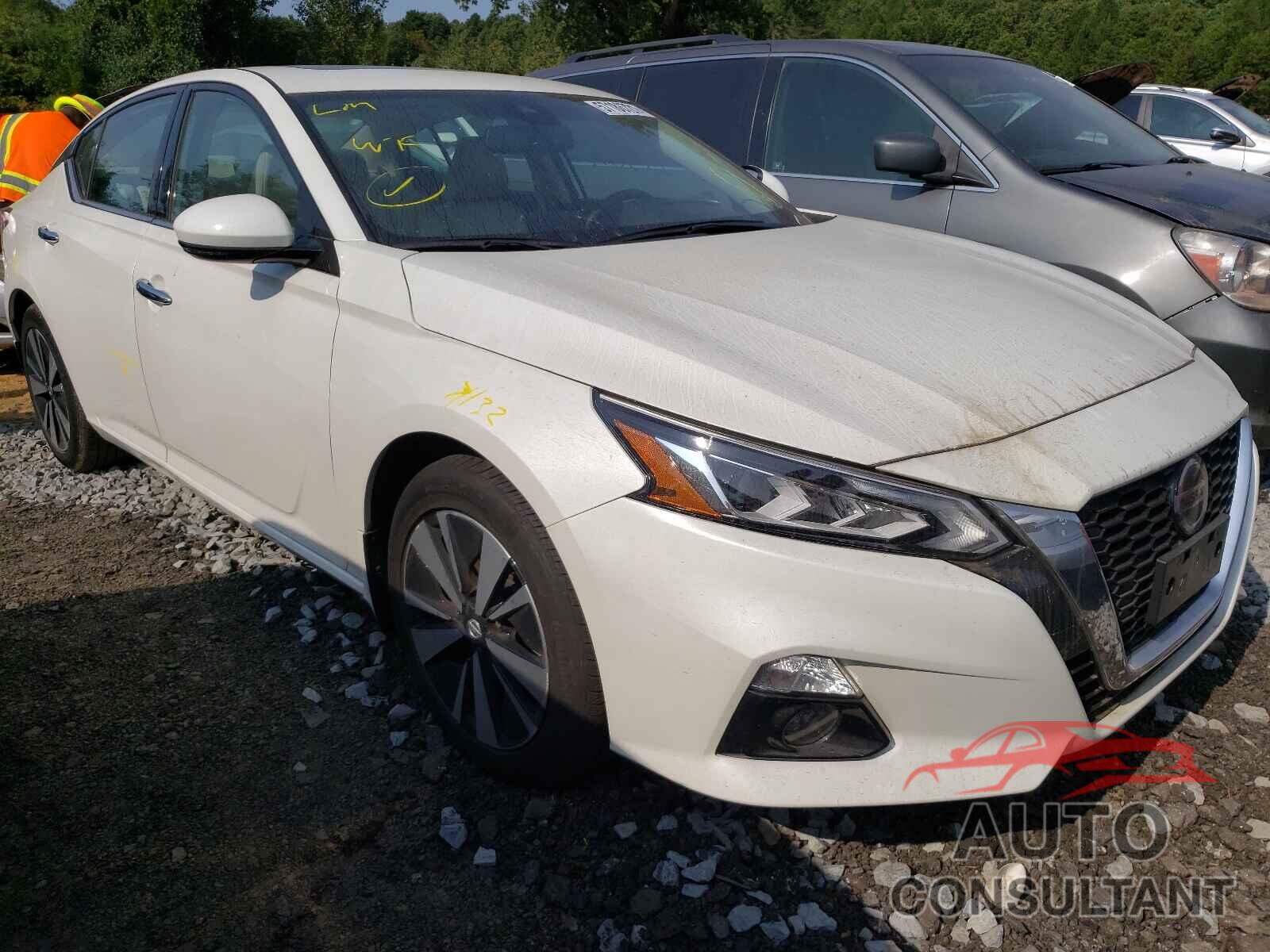 NISSAN ALTIMA SV 2019 - 1N4BL4DV2KC146646