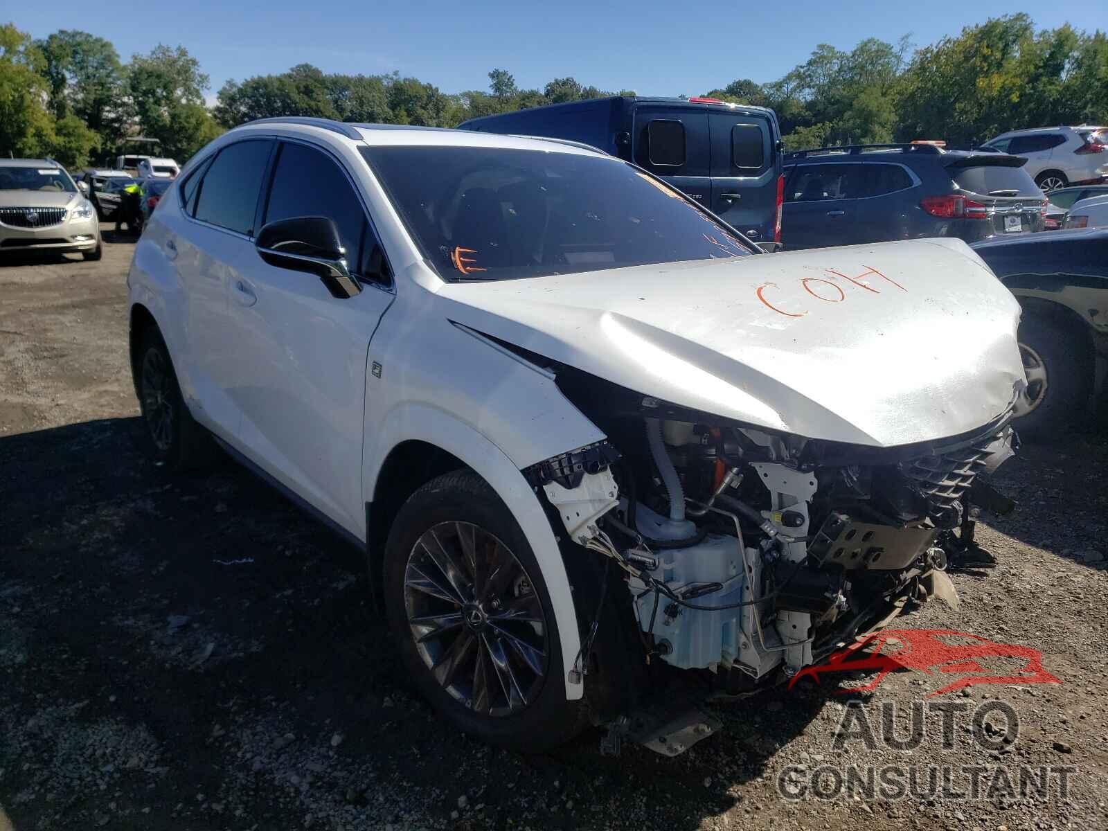 LEXUS NX 2021 - JTJSJRDZ4M5010653