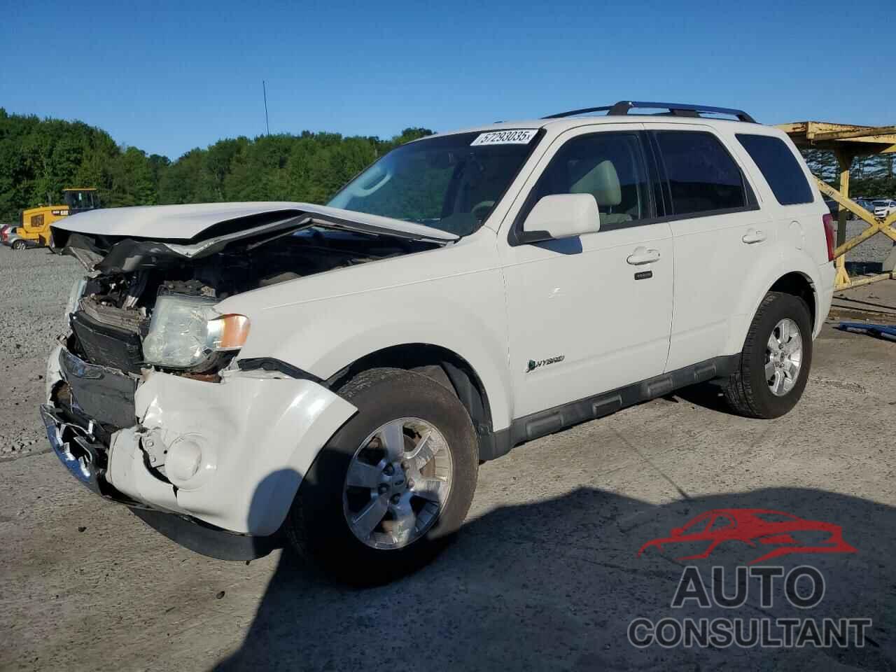 FORD ESCAPE 2010 - 1FMCU4K38AKB79549