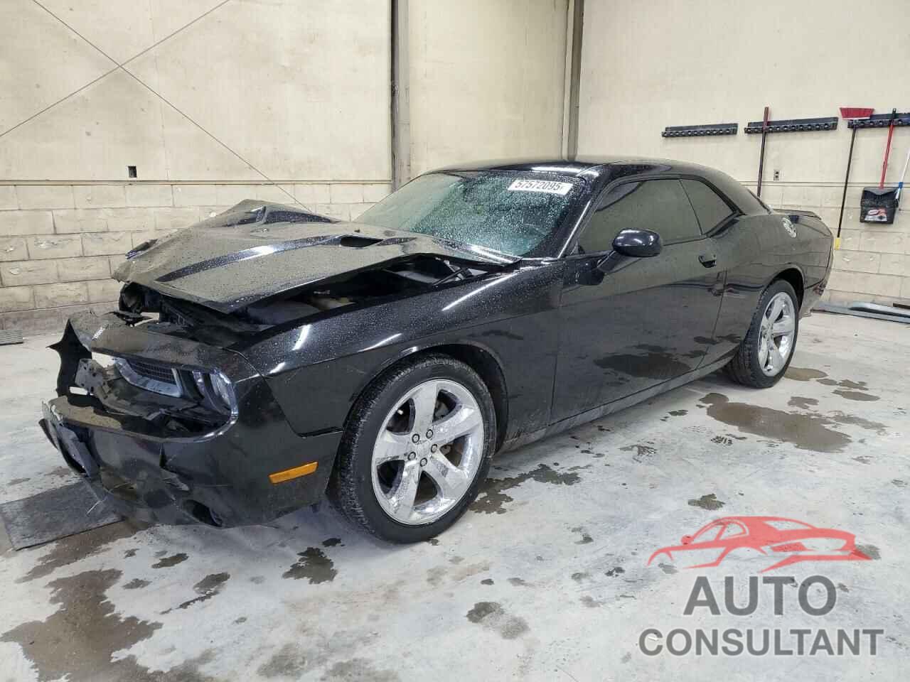 DODGE CHALLENGER 2013 - 2C3CDYAG5DH665798