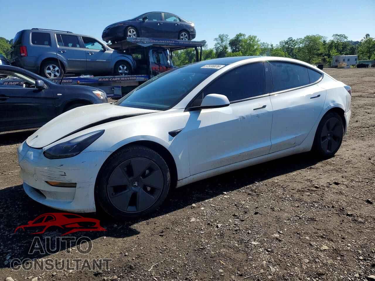 TESLA MODEL 3 2023 - 5YJ3E1EA1PF591389