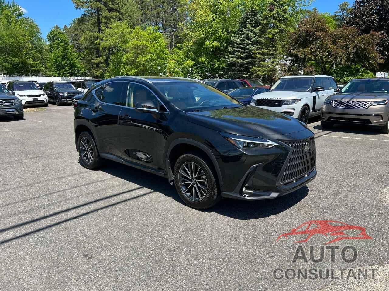 LEXUS NX 250 2022 - 2T2ADCAZ4NC001183