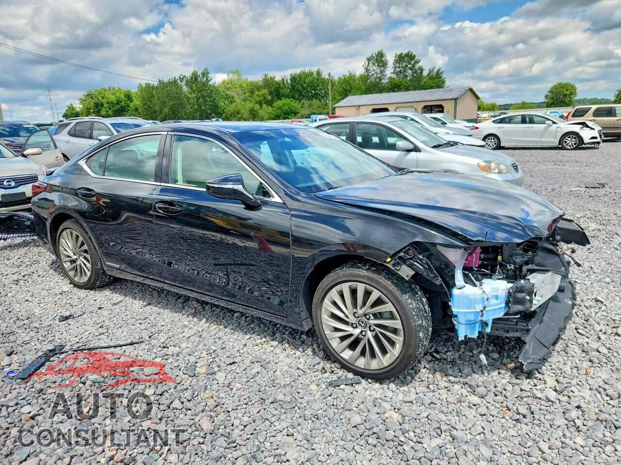 LEXUS ES300 2021 - 58AEA1C19MU001812