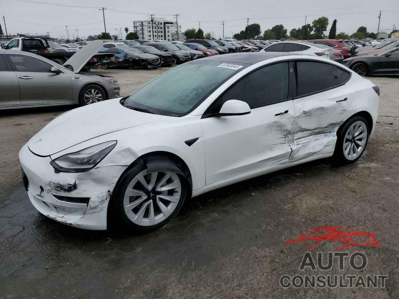 TESLA MODEL 3 2022 - 5YJ3E1EA5NF241566