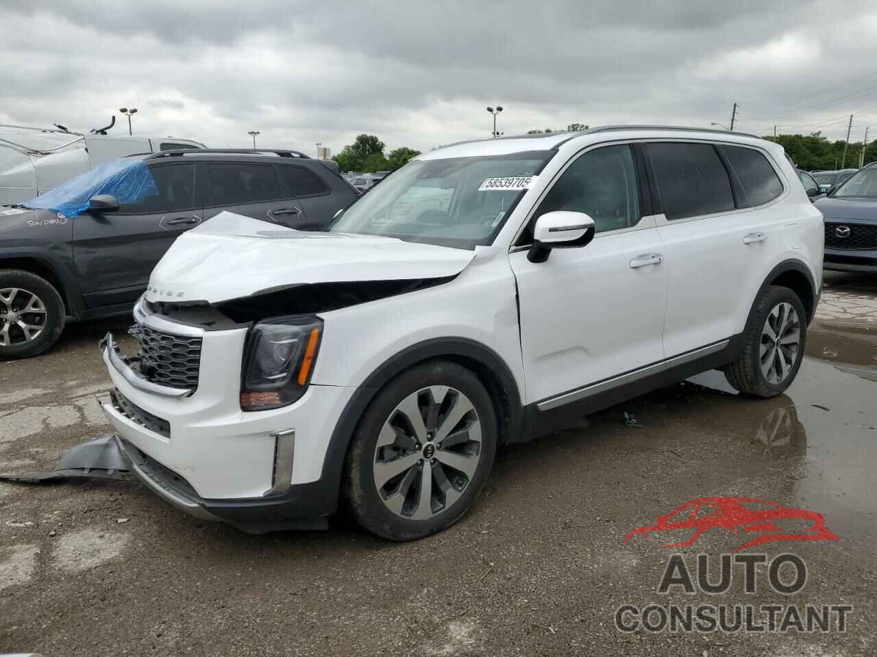 KIA TELLURIDE 2021 - 5XYP64HC1MG143543
