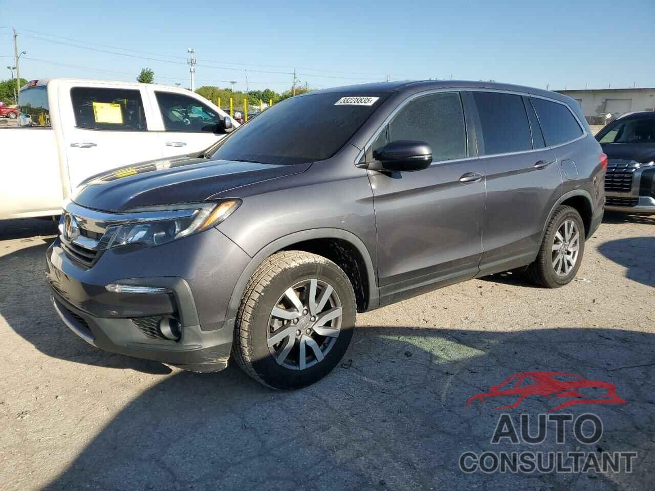 HONDA PILOT 2019 - 5FNYF6H53KB101655