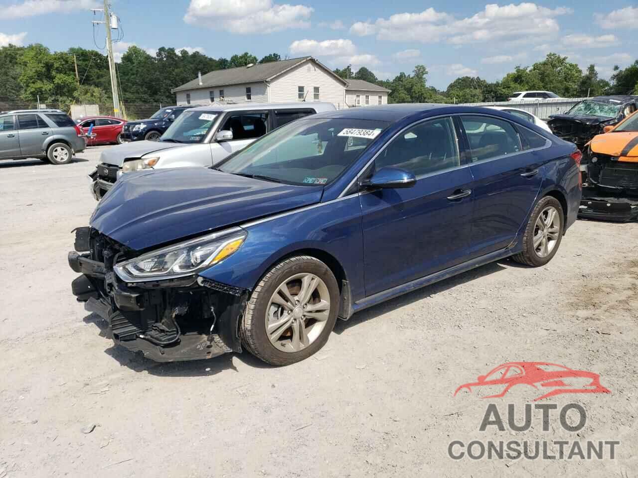 HYUNDAI SONATA 2019 - 5NPE34AF5KH812780