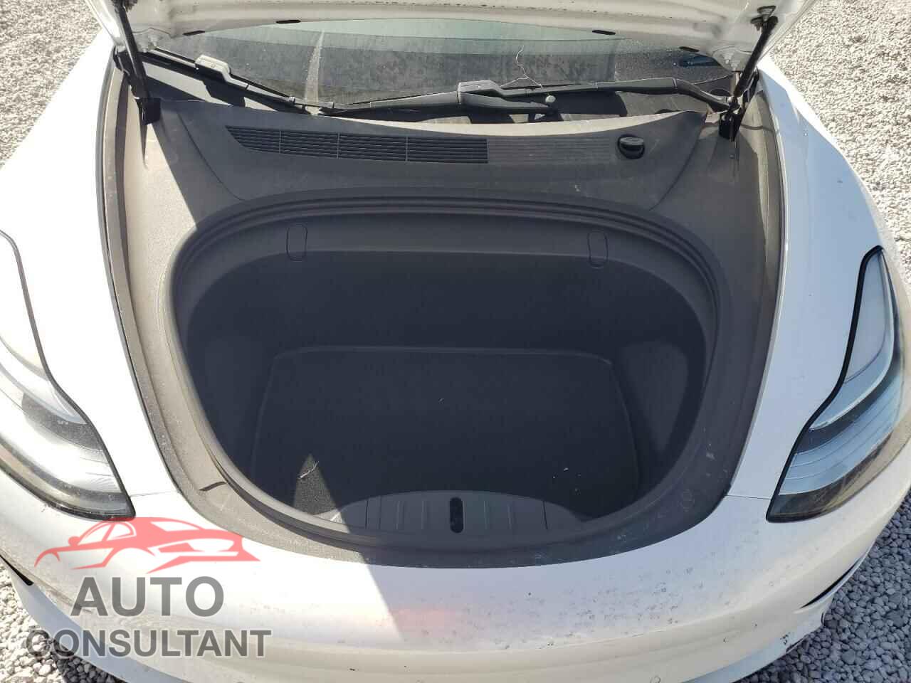 TESLA MODEL 3 2019 - 5YJ3E1EB9KF365103