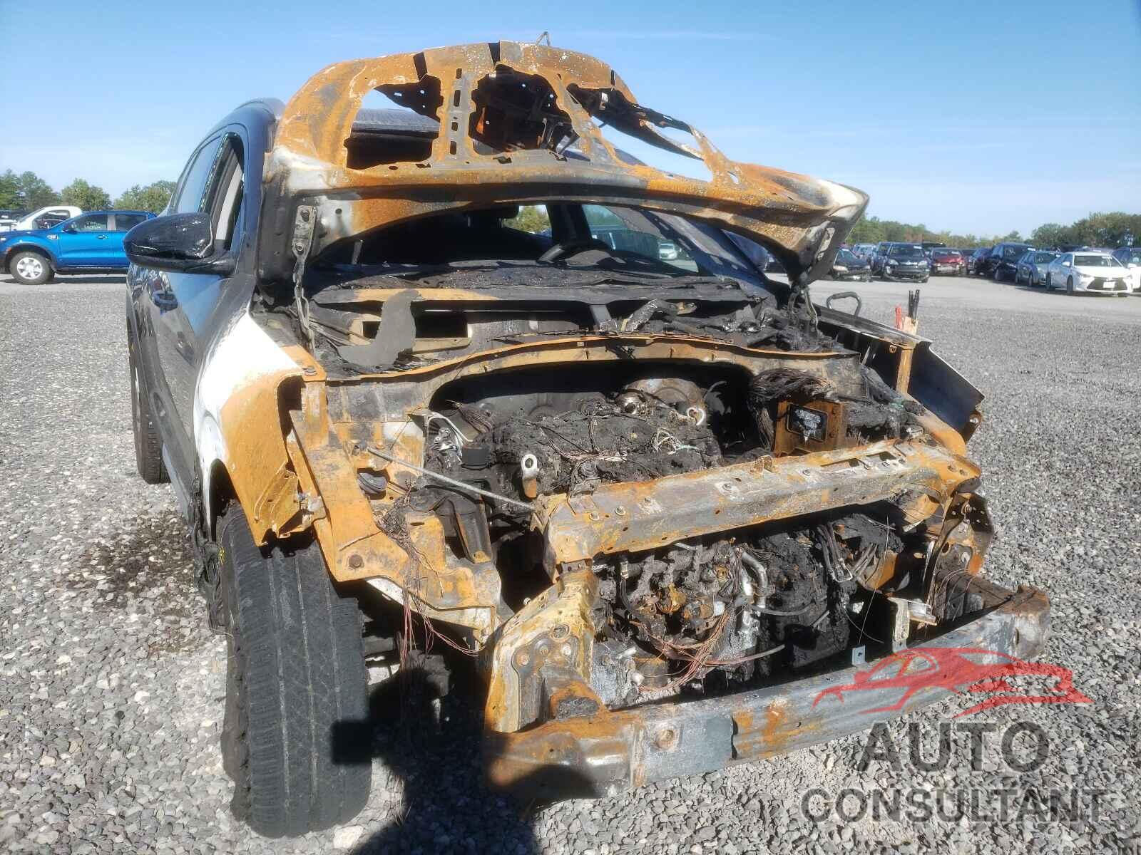 HYUNDAI TUCSON 2017 - KM8J3CA4XHU392502