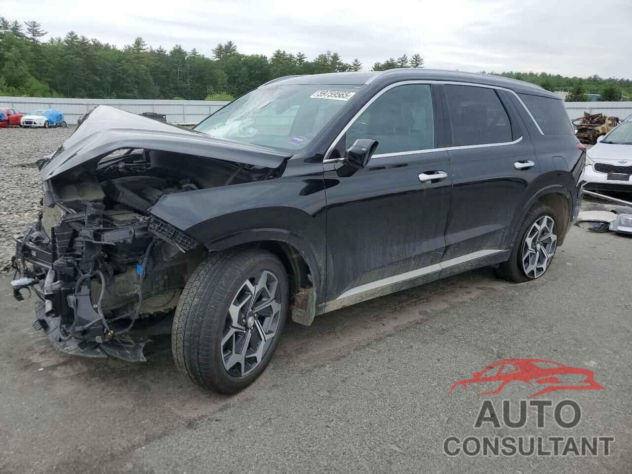 HYUNDAI PALISADE 2022 - KM8R7DHE6NU487744