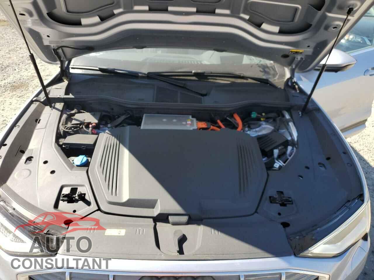 AUDI E-TRON 2019 - WA1VAAGE5KB012530