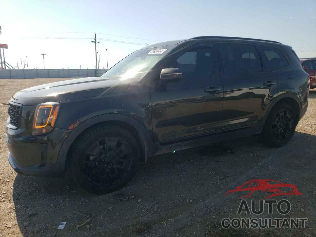 KIA TELLURIDE 2021 - 5XYP3DHC5MG101756