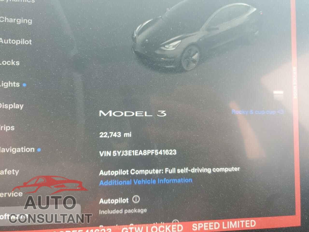 TESLA MODEL 3 2023 - 5YJ3E1EA8PF541623