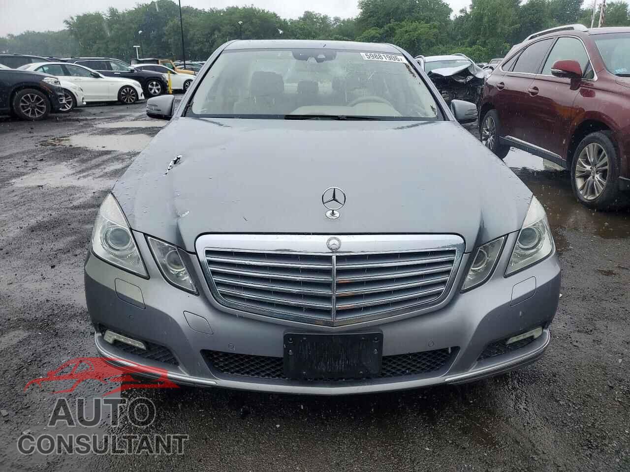 MERCEDES-BENZ E-CLASS 2010 - WDDHF8HB5AA189087