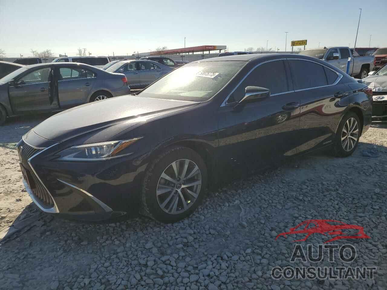 LEXUS ES300 2021 - 58ADA1C10MU010054