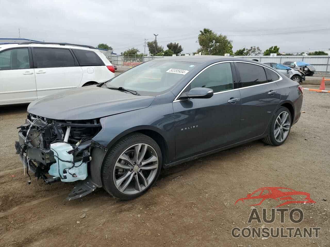 CHEVROLET MALIBU 2019 - 1G1ZE5SX3KF206549
