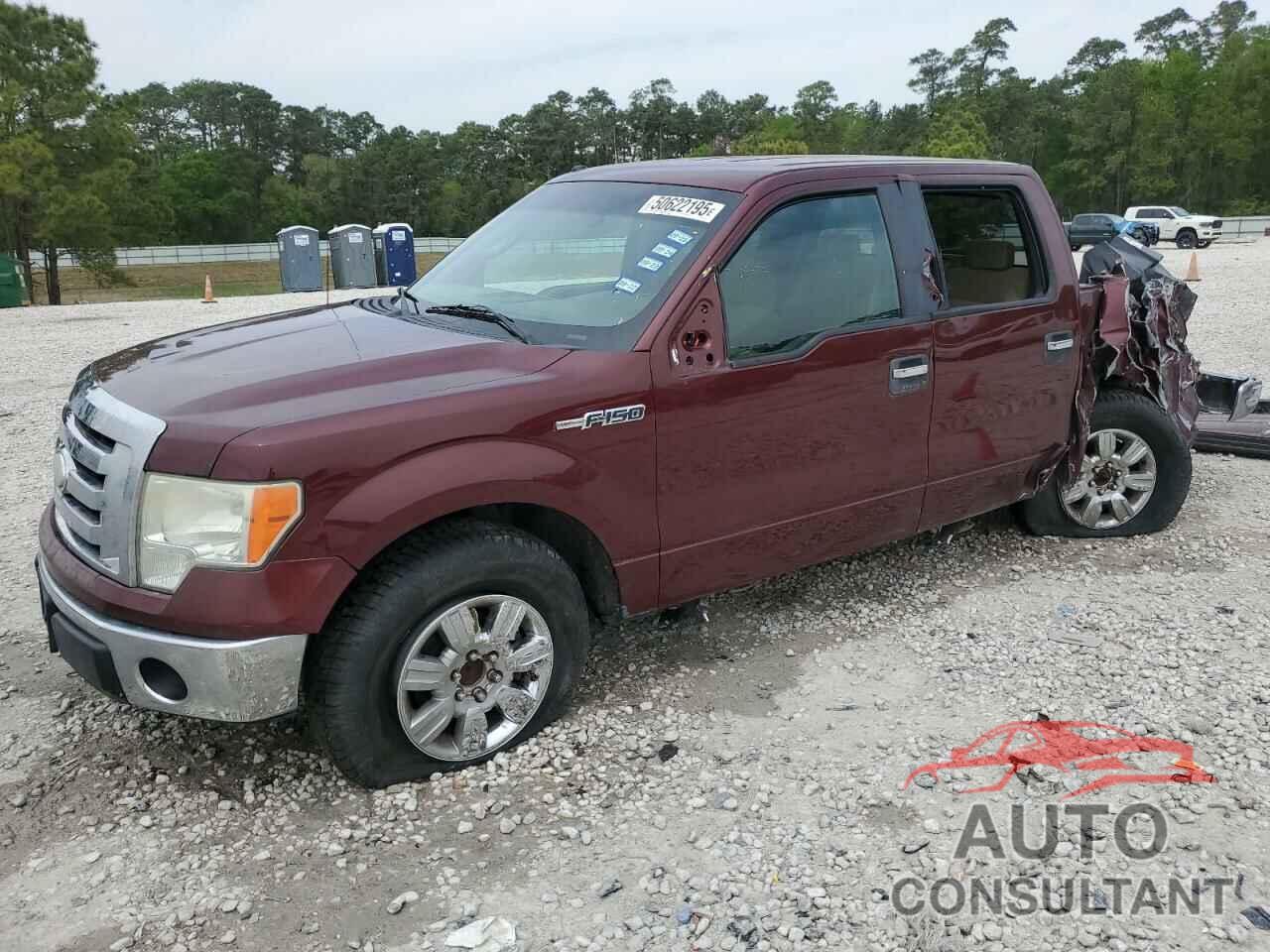 FORD F-150 2009 - 1FTRW12849FA64308