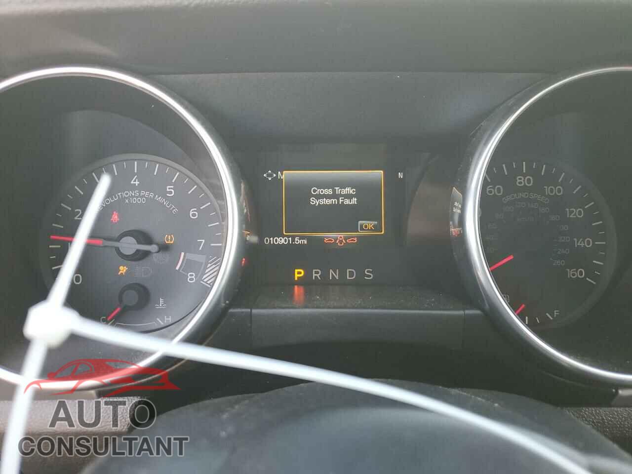 FORD MUSTANG 2022 - 1FA6P8CF8N5113618