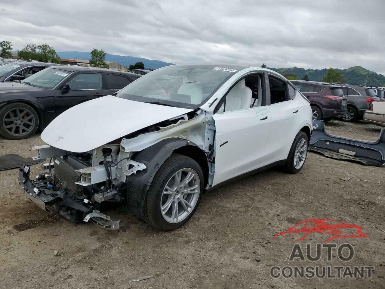 TESLA MODEL Y 2024 - 7SAYGDEE1RF985534