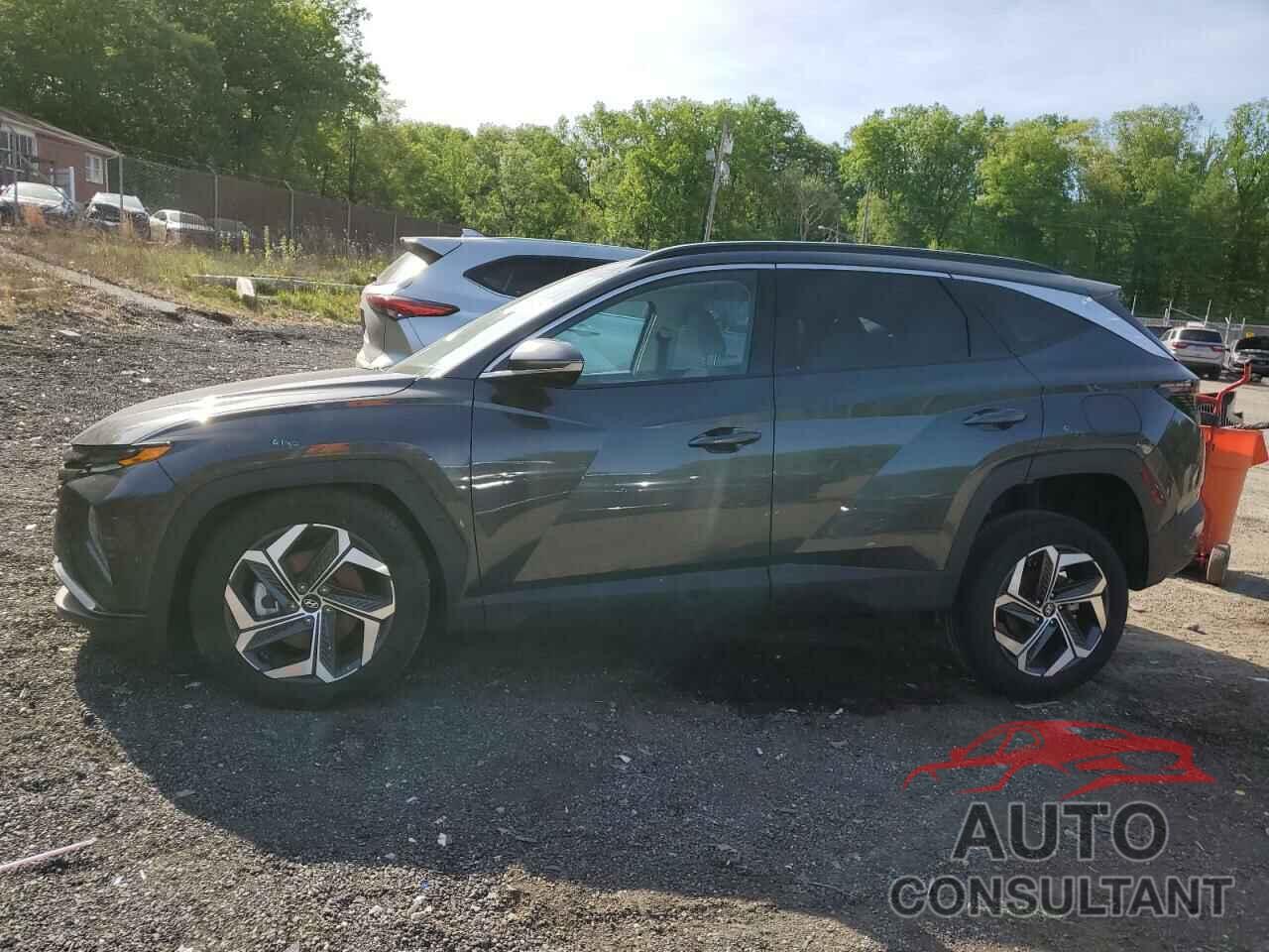 HYUNDAI TUCSON 2023 - 5NMJECAE0PH210979