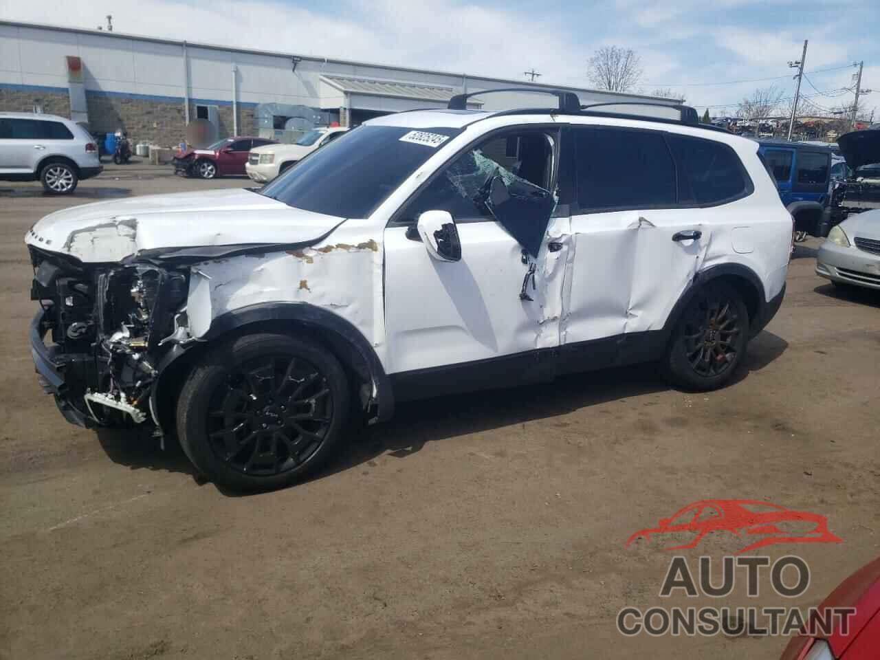 KIA TELLURIDE 2022 - 5XYP5DHCXNG247033