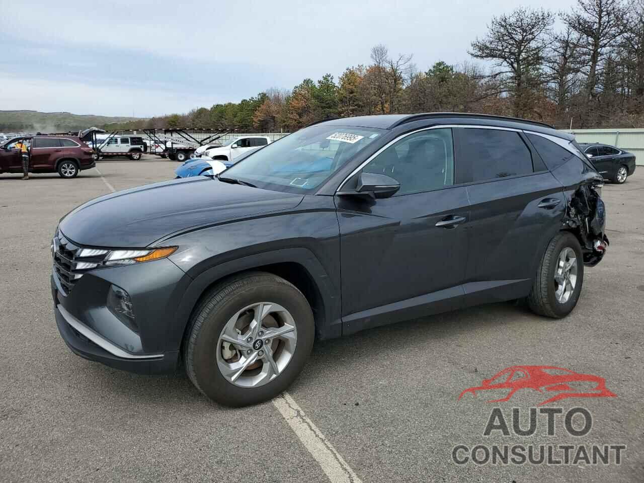 HYUNDAI TUCSON 2023 - 5NMJBCAE3PH261921