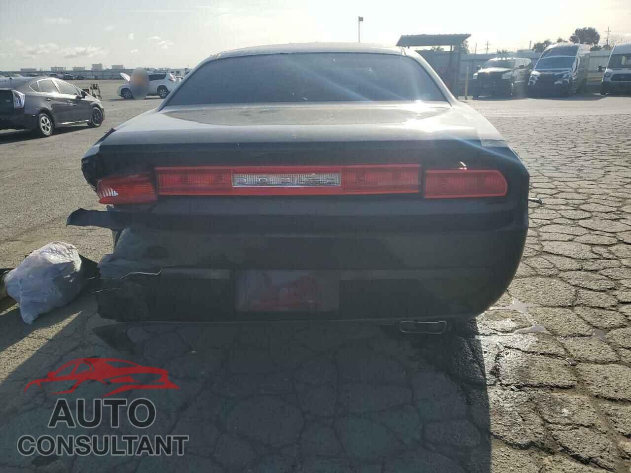 DODGE CHALLENGER 2013 - 2C3CDYAG9DH609153