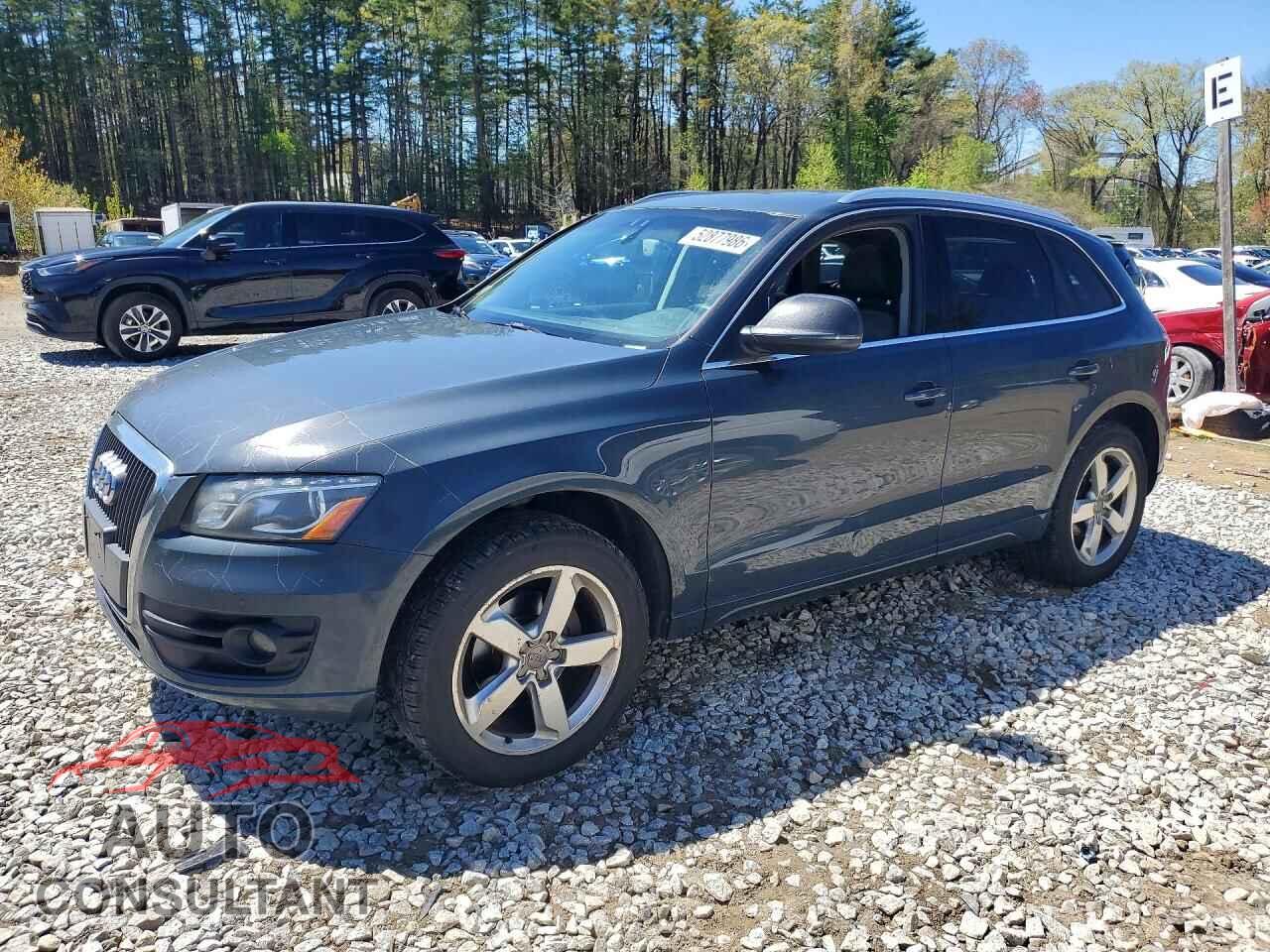 AUDI Q5 2011 - WA1LFAFP8BA091600