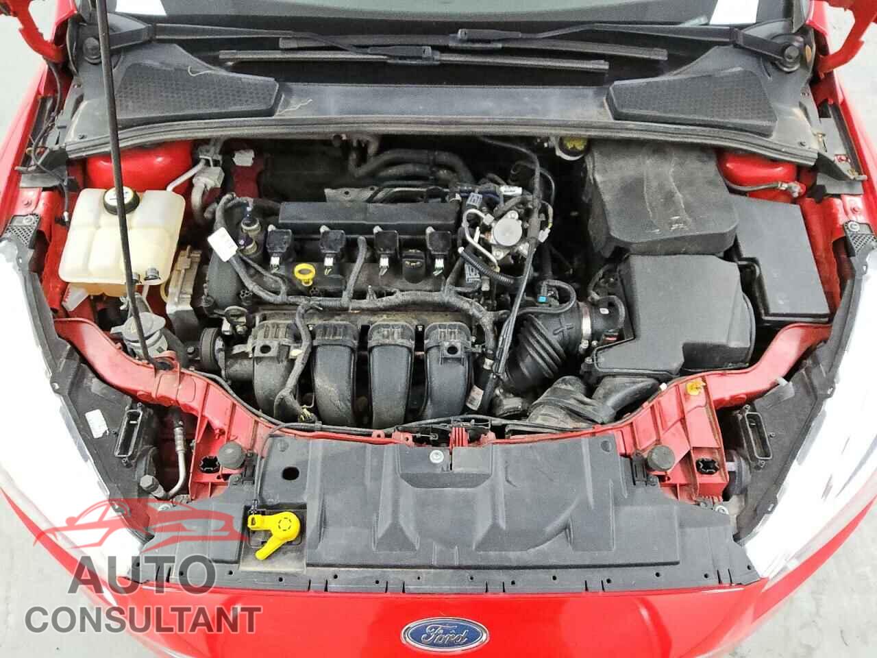 FORD FOCUS 2016 - 1FADP3F24GL404439