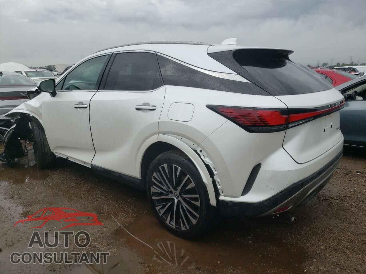 LEXUS RX350 2024 - 2T2BAMCA5RC041675