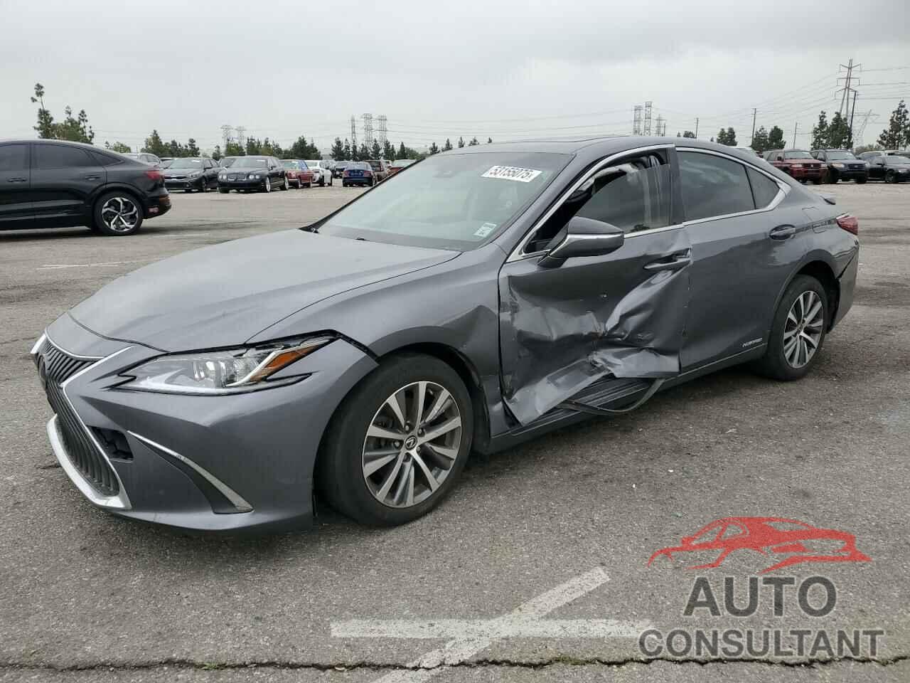 LEXUS ES300 2019 - JTHB21B11K2034422