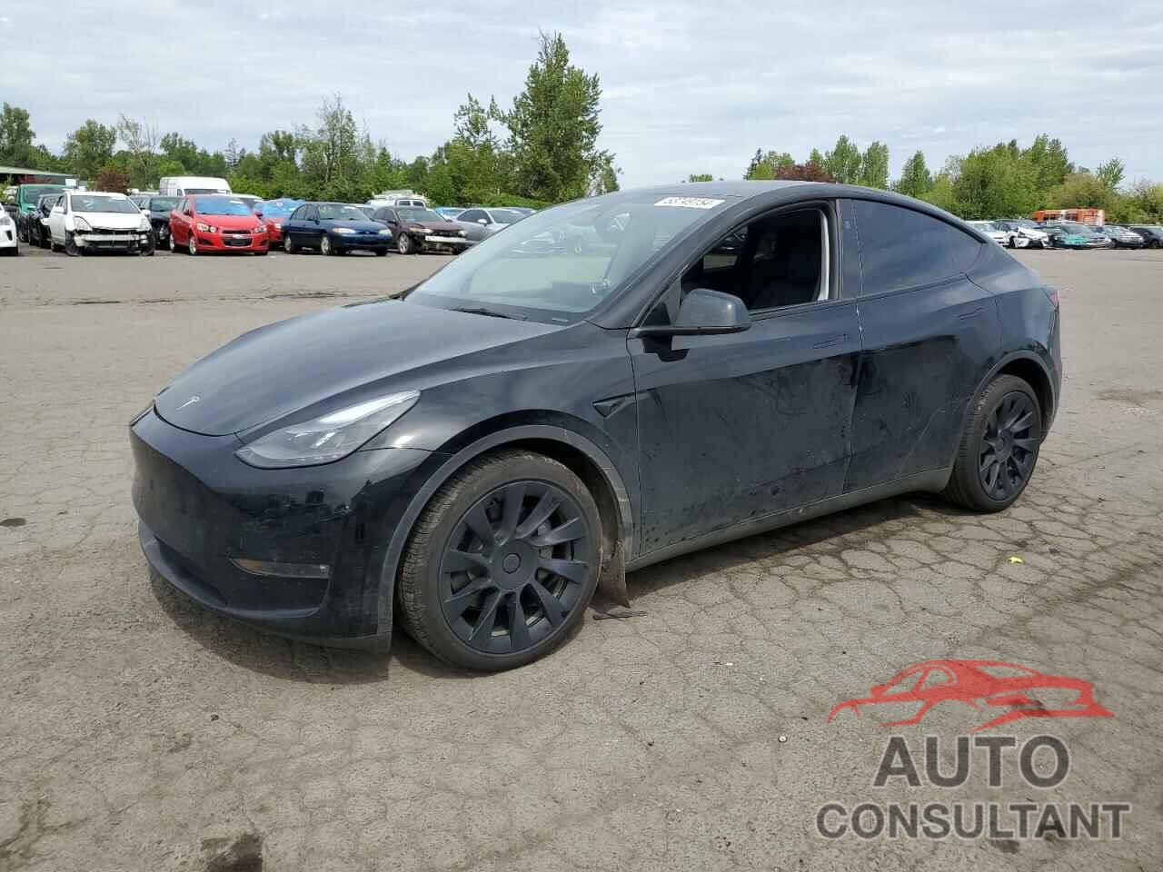 TESLA MODEL Y 2023 - 7SAYGAEE4PF875282