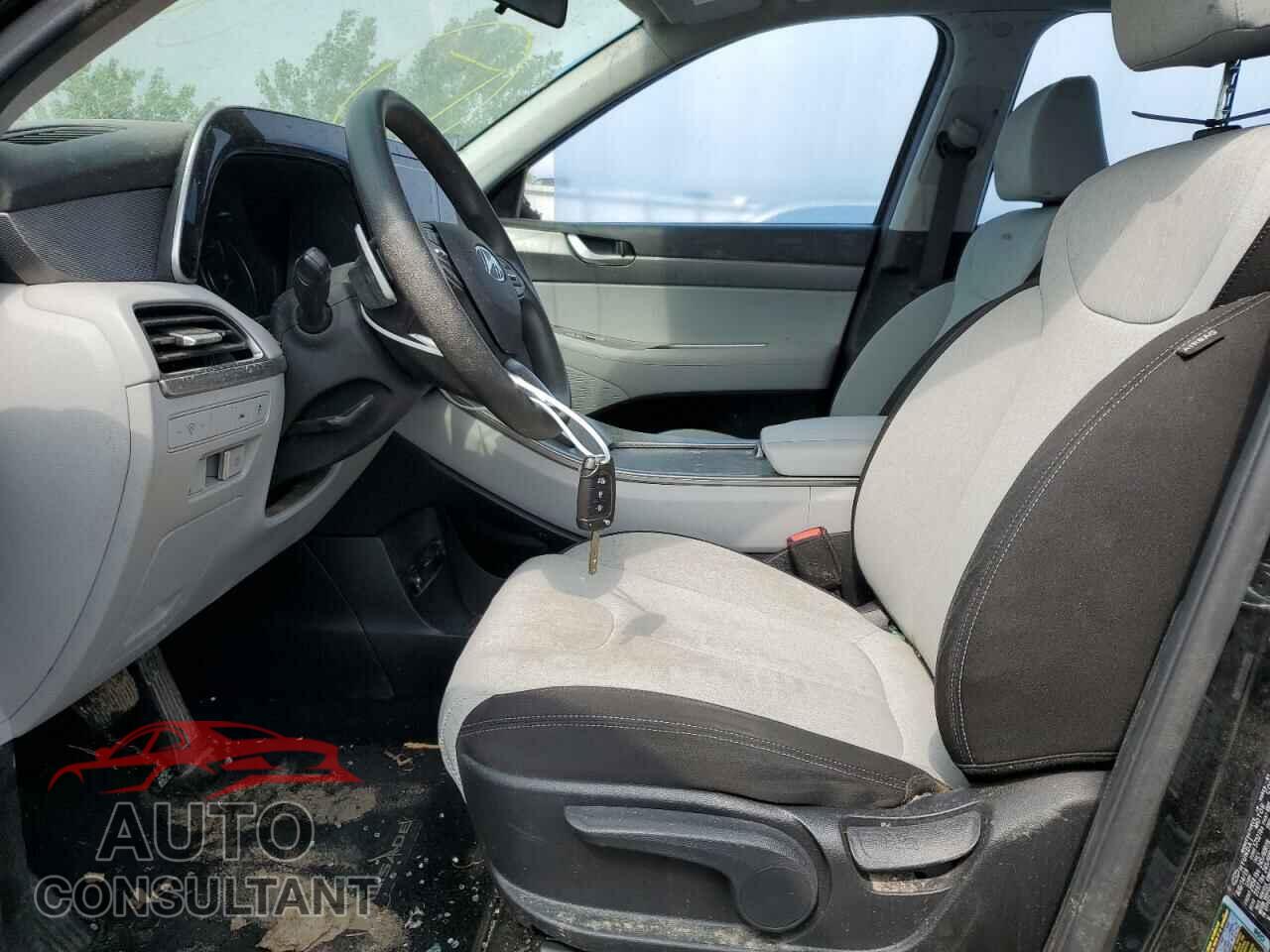 HYUNDAI PALISADE 2020 - KM8R14HE3LU060438