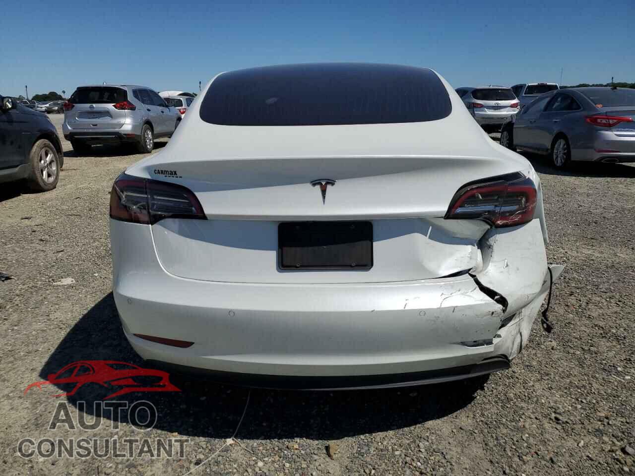 TESLA MODEL 3 2019 - 5YJ3E1EA9KF483305
