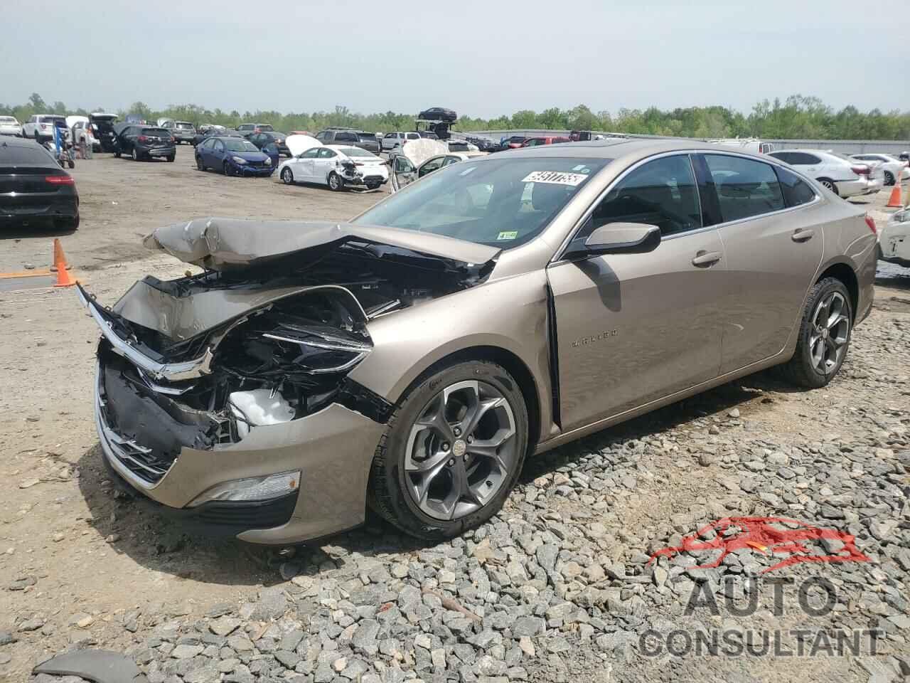 CHEVROLET MALIBU 2024 - 1G1ZD5ST3RF204939