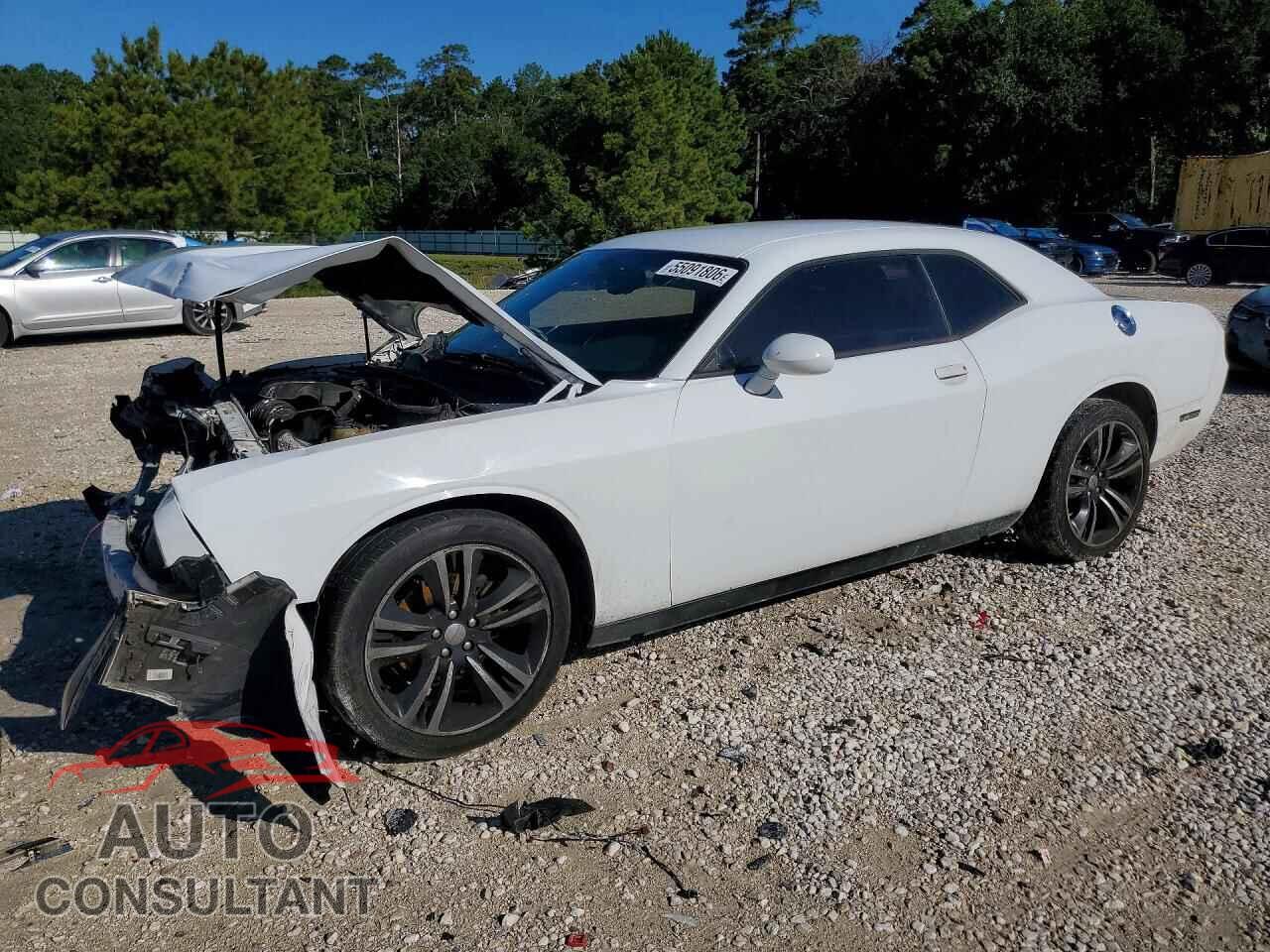 DODGE CHALLENGER 2014 - 2C3CDYAG6EH293731