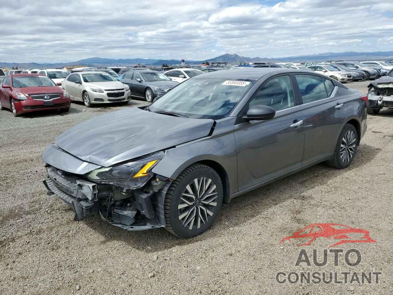 NISSAN ALTIMA 2024 - 1N4BL4DW8RN382578