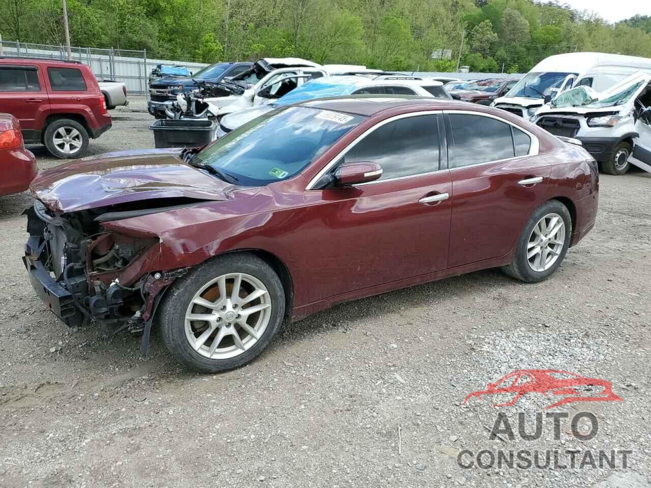 NISSAN MAXIMA 2011 - 1N4AA5AP9BC843762