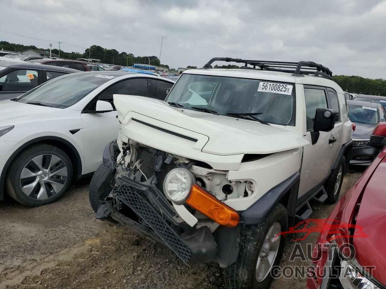 TOYOTA FJ CRUISER 2010 - JTEZU4BF0AK010615