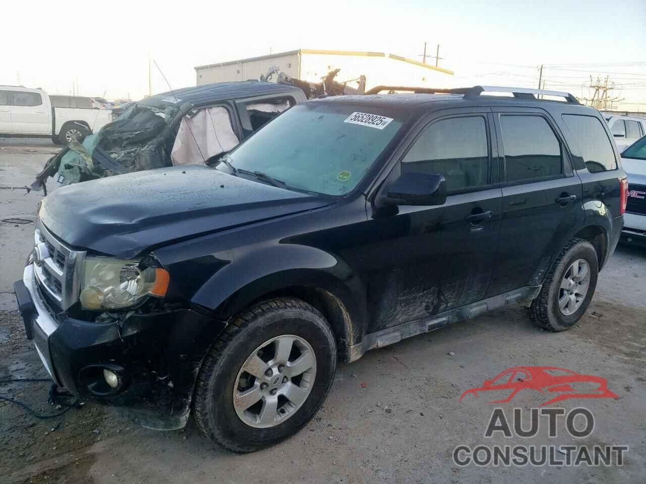 FORD ESCAPE 2010 - 1FMCU0E70AKC16309