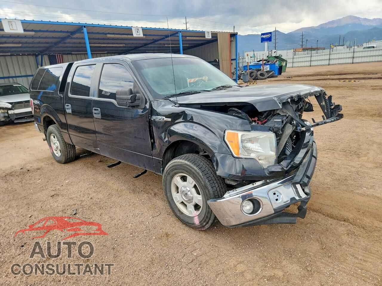 FORD F150 2012 - 1FTFW1ET9CKD18239