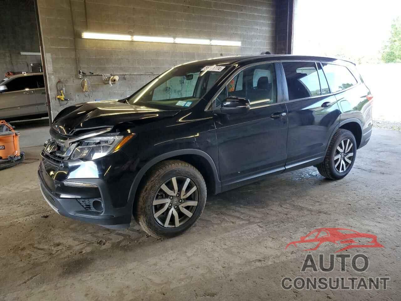 HONDA PILOT 2019 - 5FNYF6H59KB072789