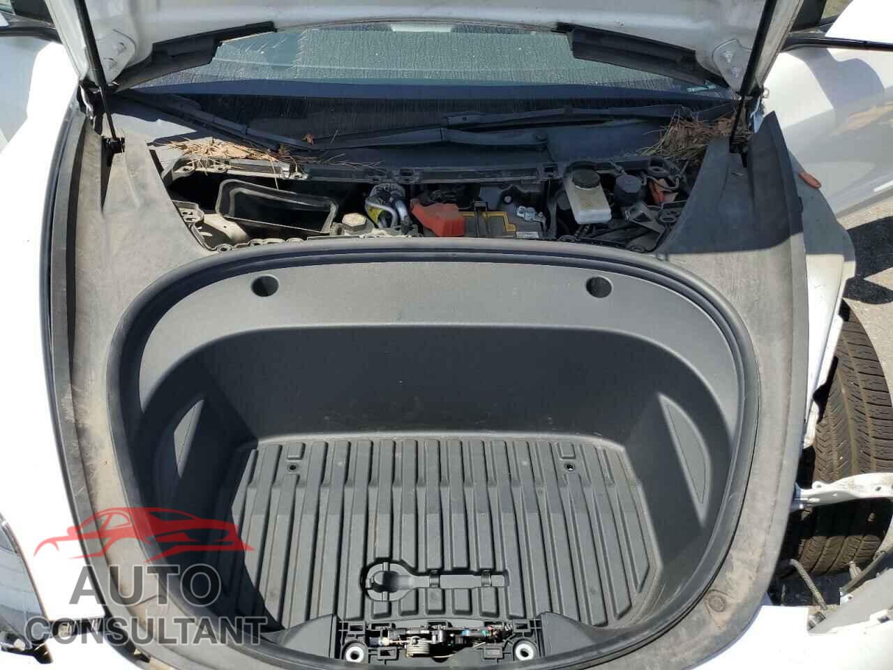 TESLA MODEL 3 2021 - 5YJ3E1EA5MF096205