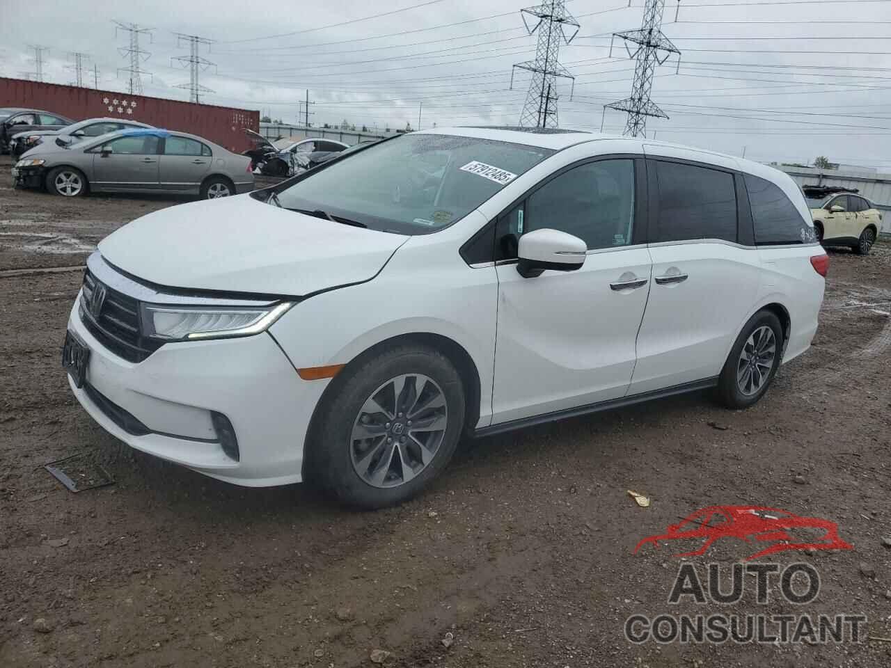 HONDA All Models 2021 - 5FNRL6H74MB029107
